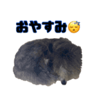 4本足の仲間たち❸（個別スタンプ：4）