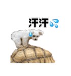 4本足の仲間たち❸（個別スタンプ：5）