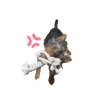 ルゥ➀（個別スタンプ：5）
