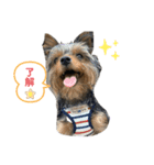 ルゥ➀（個別スタンプ：7）