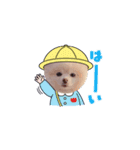 ポメラニアン-ライス（個別スタンプ：1）
