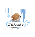 コーギースタンプ第2弾☆（個別スタンプ：6）