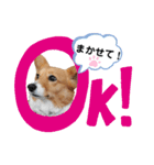 コーギースタンプ第2弾☆（個別スタンプ：17）
