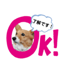 コーギースタンプ第2弾☆（個別スタンプ：18）