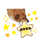 コーギースタンプ第2弾☆（個別スタンプ：39）