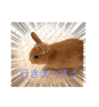 むぎちゃん！！！！2（個別スタンプ：5）
