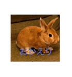 むぎちゃん！！！！2（個別スタンプ：6）