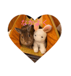 むぎちゃん！！！！2（個別スタンプ：12）