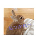 むぎちゃん！！！！2（個別スタンプ：14）
