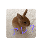 むぎちゃん！！！！2（個別スタンプ：15）