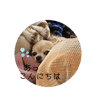 クラインくんのお話6（個別スタンプ：1）