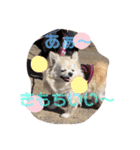 クラインくんのお話6（個別スタンプ：2）