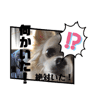 クラインくんのお話6（個別スタンプ：3）