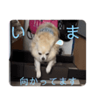 クラインくんのお話6（個別スタンプ：4）