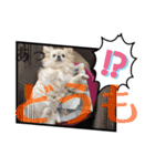 クラインくんのお話6（個別スタンプ：9）