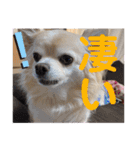 クラインくんのお話6（個別スタンプ：14）