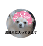 クラインくんのお話6（個別スタンプ：16）