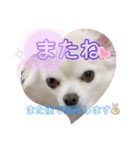 クラインくんのお話6（個別スタンプ：22）