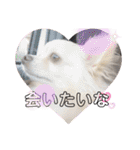 クラインくんのお話6（個別スタンプ：23）