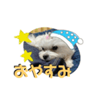 らむくん＆だいごくん（個別スタンプ：2）