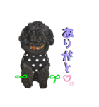 らむくん＆だいごくん（個別スタンプ：5）