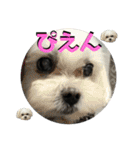 らむくん＆だいごくん（個別スタンプ：11）