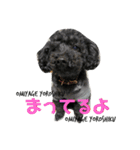 らむくん＆だいごくん（個別スタンプ：13）