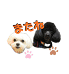 らむくん＆だいごくん（個別スタンプ：31）