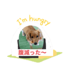 カイリちゃん2（個別スタンプ：2）