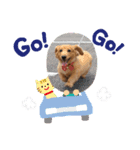 カイリちゃん2（個別スタンプ：3）