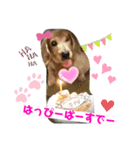 カイリちゃん2（個別スタンプ：6）