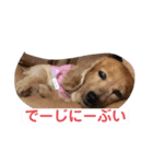 カイリちゃん2（個別スタンプ：8）