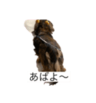 おおたfabスタンプ1（個別スタンプ：3）