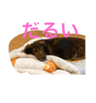 おおたfabスタンプ1（個別スタンプ：4）