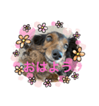 おおたfabスタンプ1（個別スタンプ：7）