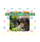 おおたfabスタンプ1（個別スタンプ：8）