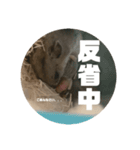 うにすた-日常編4-（個別スタンプ：1）