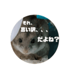 うにすた-日常編4-（個別スタンプ：4）