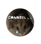 うにすた-日常編4-（個別スタンプ：7）