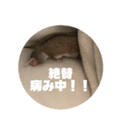 うにすた-日常編4-（個別スタンプ：8）