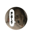 うにすた-日常編4-（個別スタンプ：10）