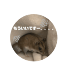 うにすた-日常編4-（個別スタンプ：11）