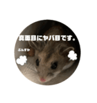 うにすた-日常編4-（個別スタンプ：12）