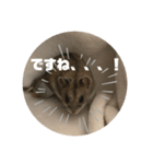 うにすた-日常編4-（個別スタンプ：13）