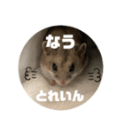 うにすた-日常編4-（個別スタンプ：14）