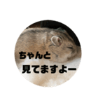 うにすた-日常編4-（個別スタンプ：15）