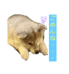 雪姫とポン太の日常2（個別スタンプ：2）
