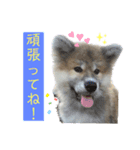 雪姫とポン太の日常2（個別スタンプ：6）