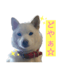 雪姫とポン太の日常2（個別スタンプ：11）