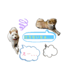 雪姫とポン太の日常2（個別スタンプ：15）